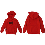 Bluza dziecięca z kapturem Puma DCT Hoodie [849258 11]