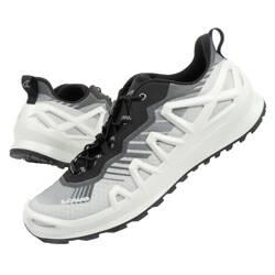 Buty męskie sportowe Lowa [310431 0199] GORE-TEX